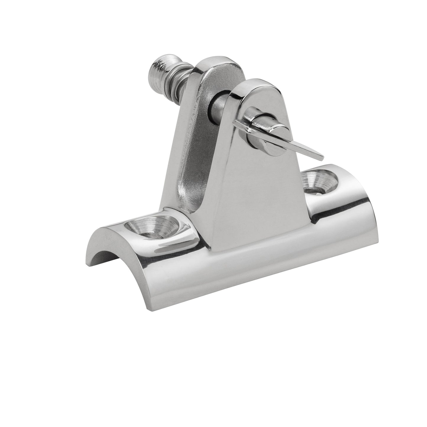 7/8" x 2" 316 Stainless Steel Concave Base Deck Hinge with 1/4" x 20 Bolt