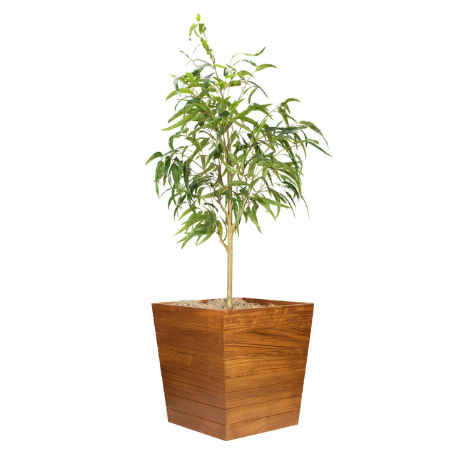 Large Planter Box