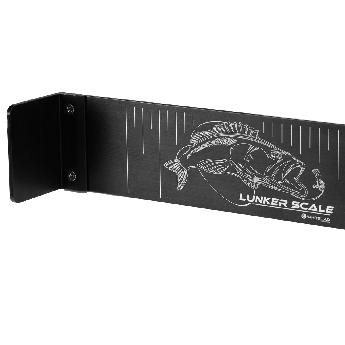 Catch Ruler 32