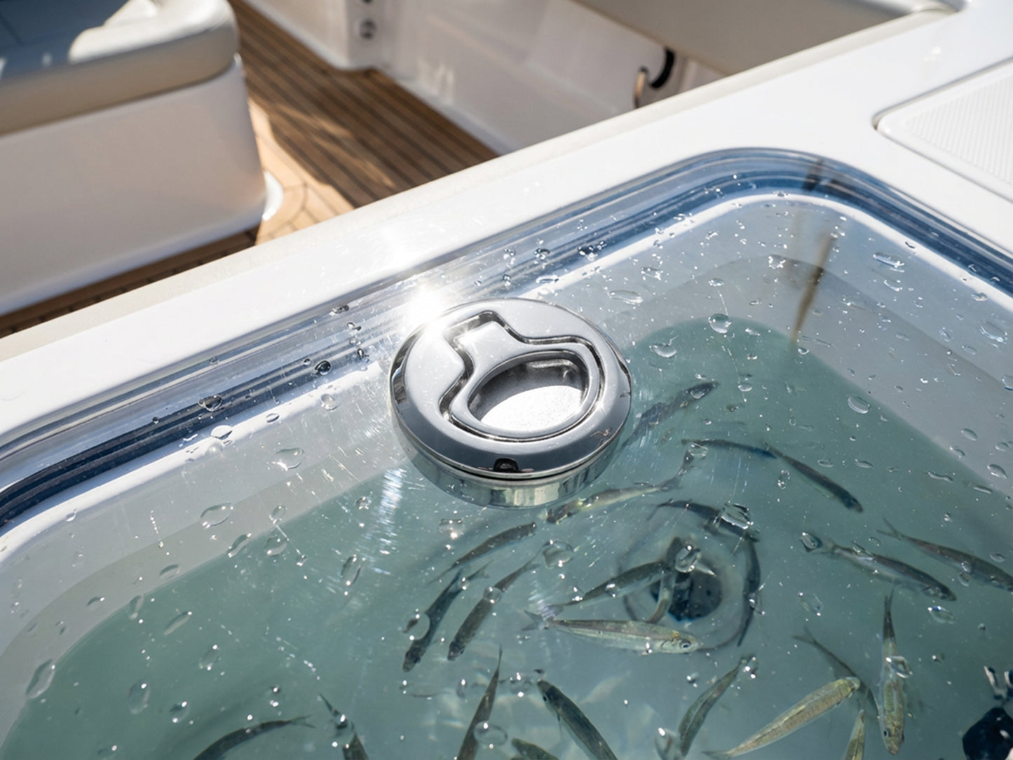 3" Waterproof 316 Stainless Steel Slam Latch - Locking