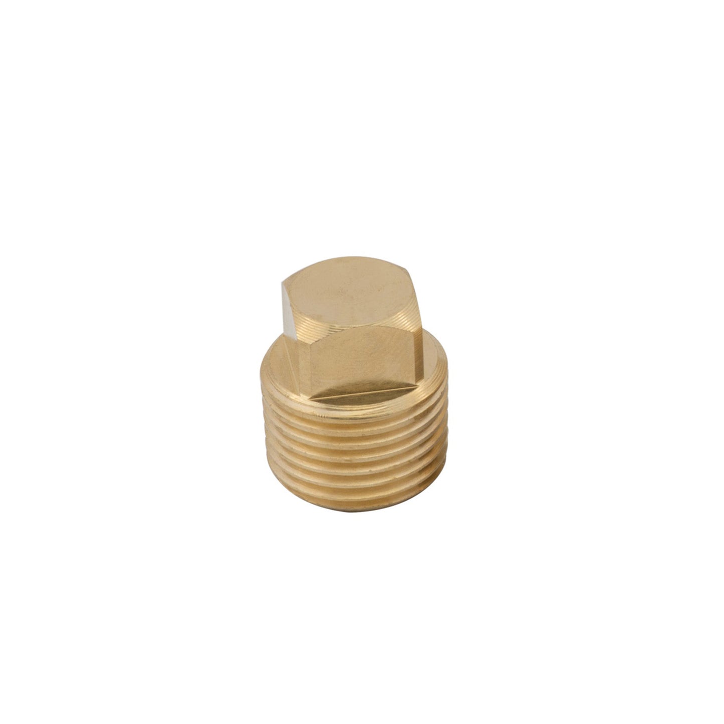 Replacement Plug for S-5051